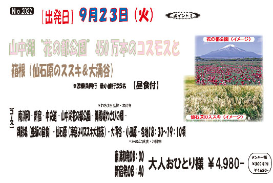 �R���ΉԂ̓s����450���{�̃R�X���X�Ɣ����i��Ό��̃X�X�L&�剱�J�j