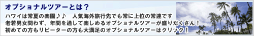 オプショナルツアーとは？